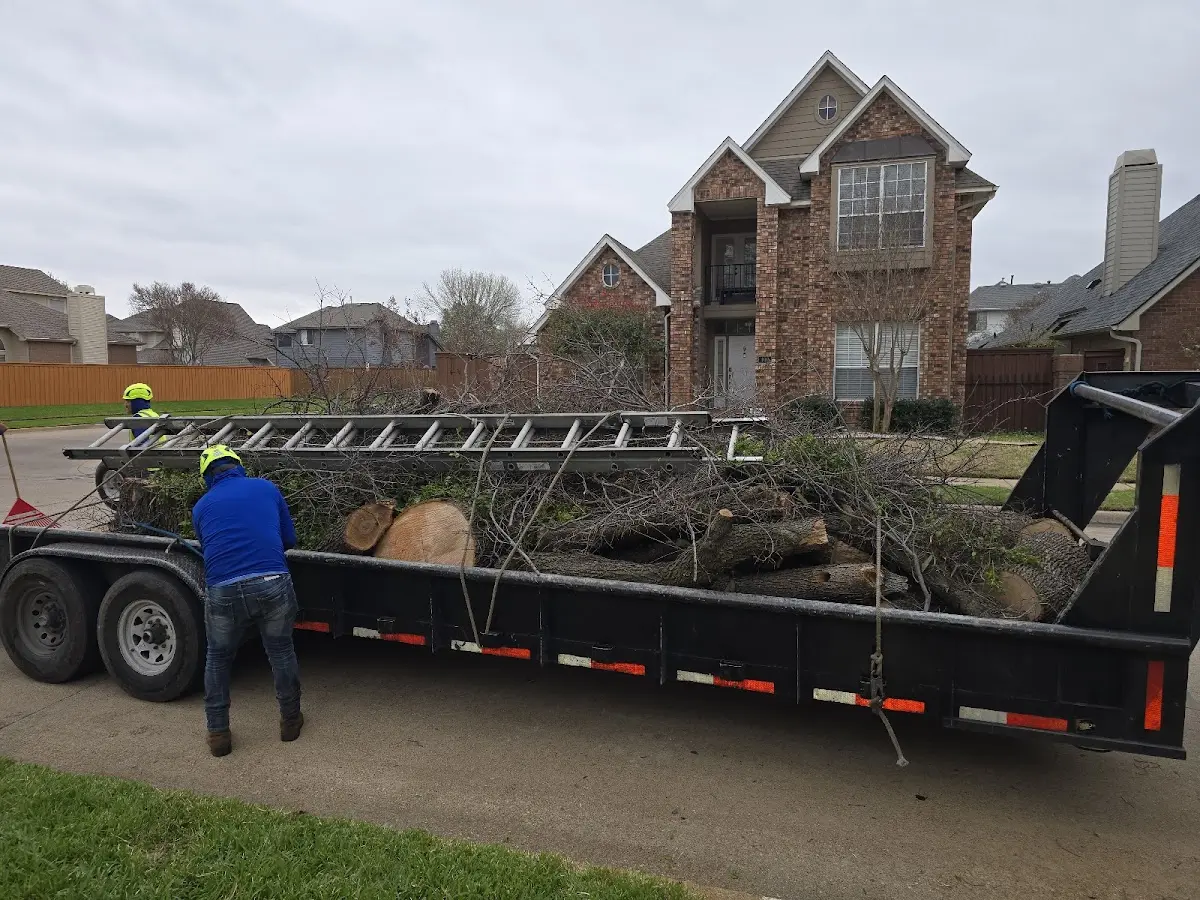Expert Tree Removal with proper safety equipment in Jenkinsville